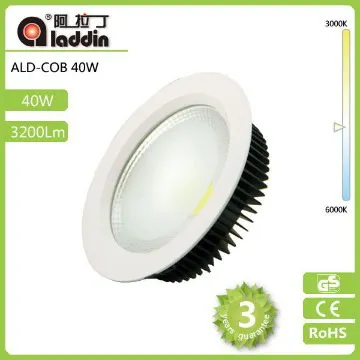 cob downing light 20w