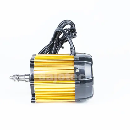 China Manufacture Controller for Motorized Bajaj TukTuk