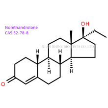 Steroids Raw Powder Norethandrolone CAS 52-78-8