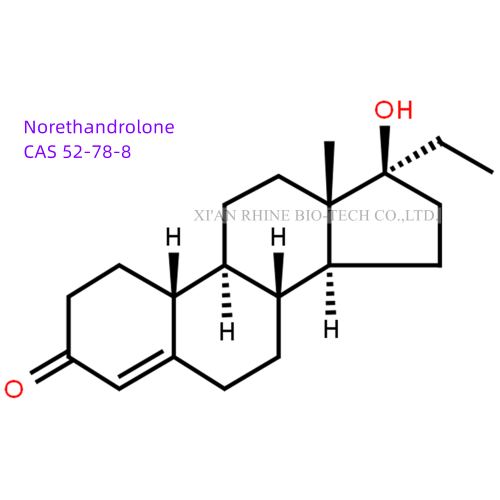 Стероиды Сырой порошок Norethandrolone CAS 52-78-8