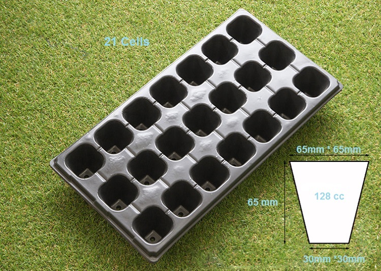 seedling tray (2)