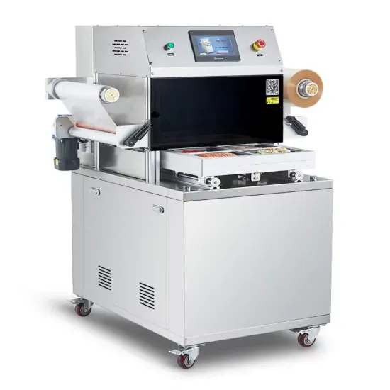 Portable Vacuum Packaging Machine for Food Vacuum Packer