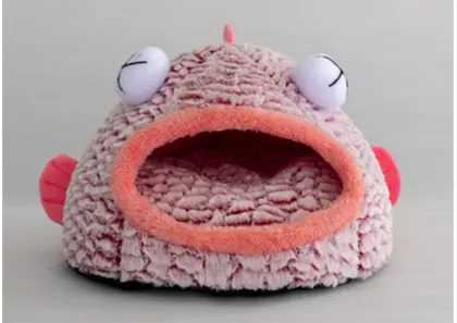 Big Eye Fish Solid Sponge Dog