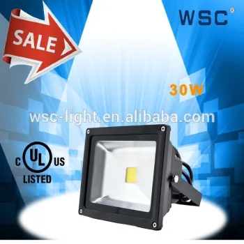 Most Powerful IP66 30W 110 Volt Dimmable LED Flood Light RGB
