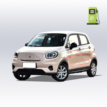 2022 Leapmotor T03 Mini New Energy Vehicle