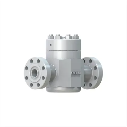Lift Check Valve