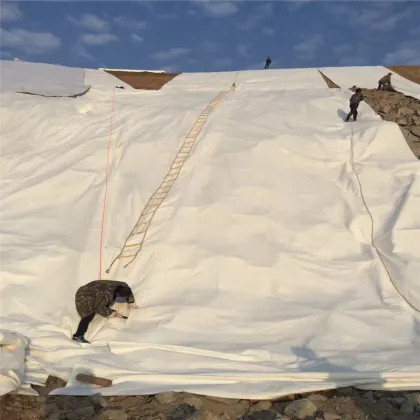 300g/sqm Nonwoven Geotextile for Landfill Slope