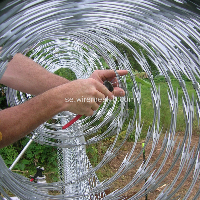 Razor Wire Fence-Concertina Coil Typ