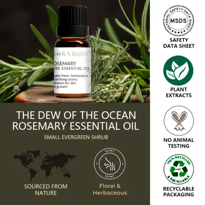 Private Label Nature Bergamot Aromatherapy Oil with Rosemary Essential Oil for Diffusers