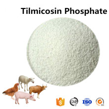 Buy online active ingredients Tilmicosin base powder price