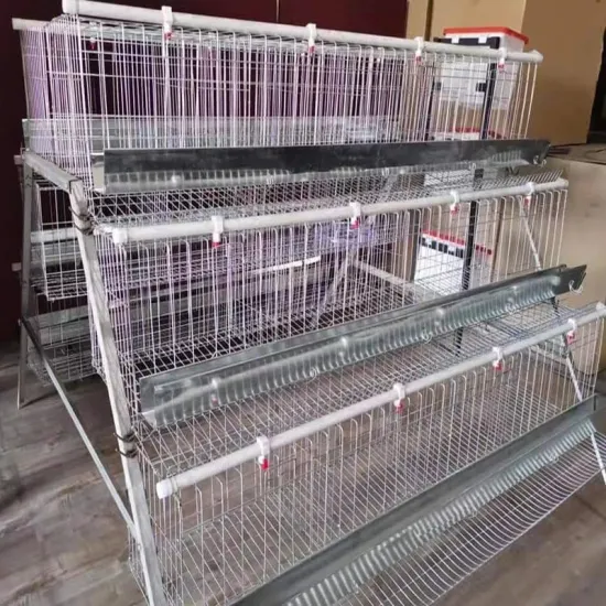 Low Price 120-Bird Chicken Cage for Farm Use