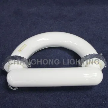 D shape low frequency induction lamp