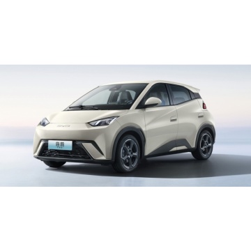 2024 BYD Seagull 305 km Energieversion - Billiges neues Energie -Elektroauto für Erwachsene