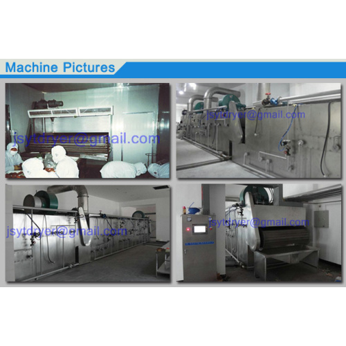 Fruit Slice Drying Machine