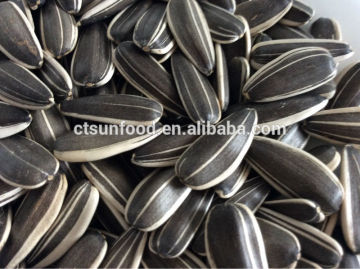 sunflower seed market price drying sunflower seeds