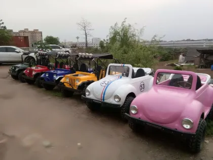 Hot Sale Petrol Mini Buggy 2WD Quad ATV
