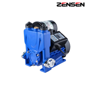 Bomba autoescorvante automática WZB-PS