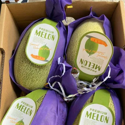 Fresh Premium Melon XinJiang