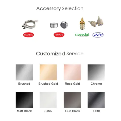 Australian Watermark Wall-Mounted Rain Shower Head