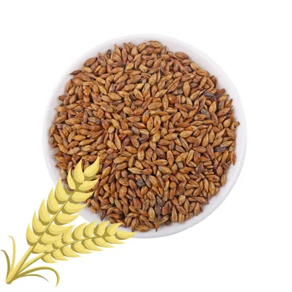 Free Sample Loose Bulk Fried Roasted Barley and Buckwheat Tea
