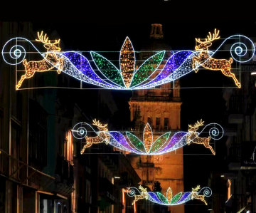 Best Holiday Street Decoration Lights