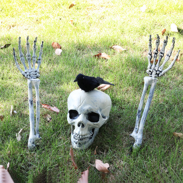 Halloween Decoration Skeleton and Ghost Props