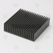AI Extruded Type HS-555515-01