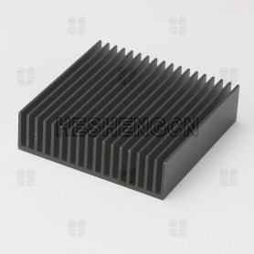 AI Extruded Type HS-555515-01