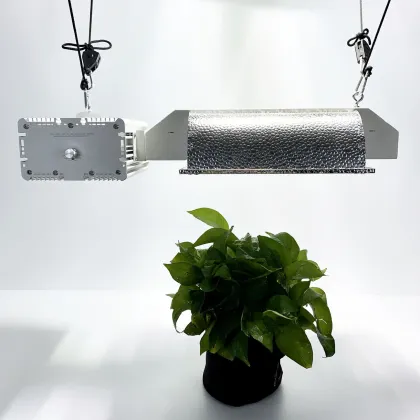 Gavita Pro HPS 1000W Hydroponic HID Grow Light On Sale