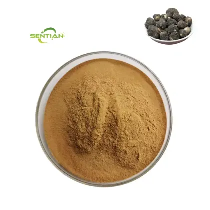 Maca Root Extract Maca Powder