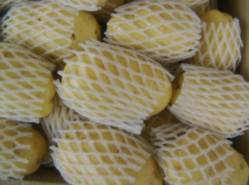 2014 Holland Potato From China