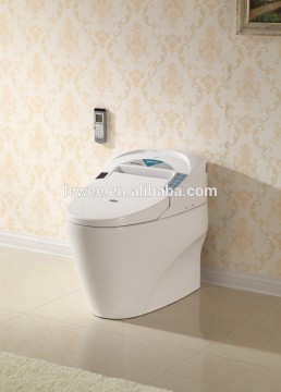 Hot design fashion intelligent toilet China products