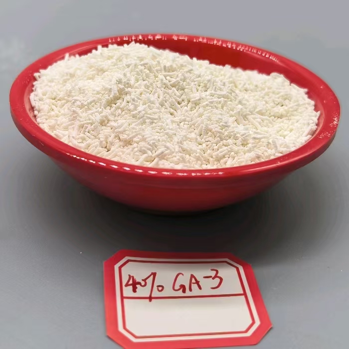 Gibberellic acid plant growth regulator GA-3 Granula (3)
