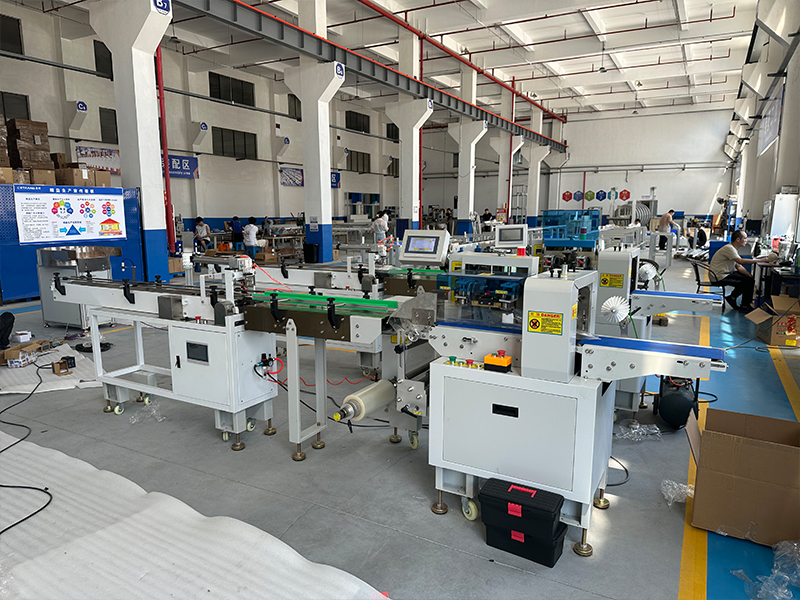 Rotary Pillow Packaging Machine