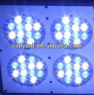CIDLY LED 4 fish tank blue white led aquarium light