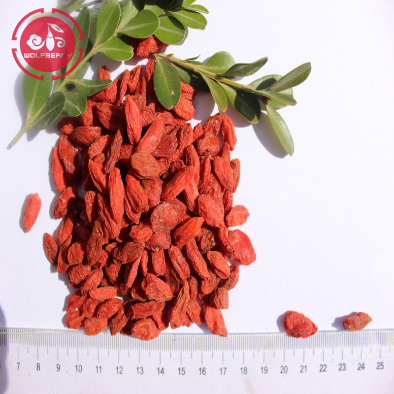 Goji berry rico en polisacáridos goji / detenido / zeaxantina