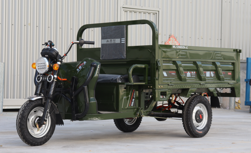 Electric cargo tricycle