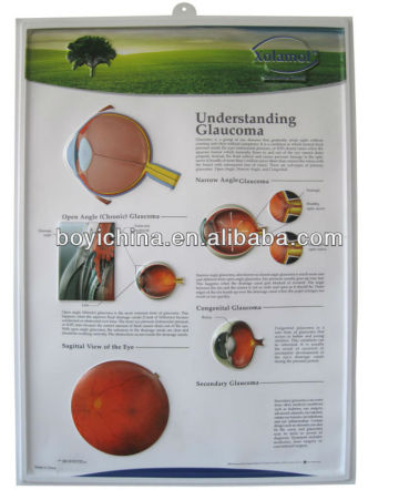 Eye design PVC embossed poster 3D picture