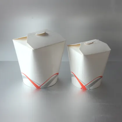 Chinese Paper Noodle Boxes for Food Packaging