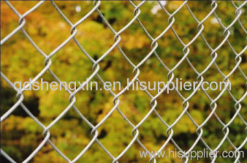 Professional Chain Link Fence Gate 