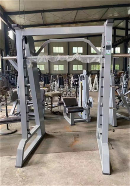 Largest Gym Equipment Manufacturer (4)