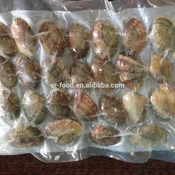 New season Frozen vacuum packed Cooked Short Necked Clam