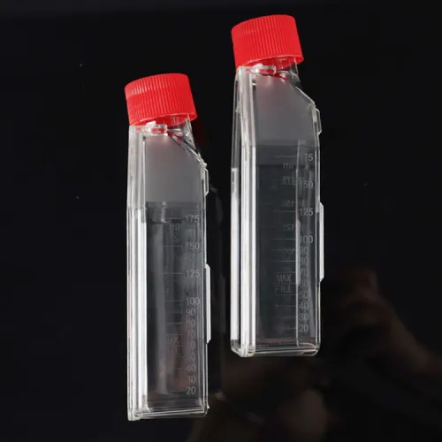 Cell Culture Flask, T25, Surface, High Quality Cell Culture Flask, T25, Surface on