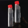 Cell Culture Flask, T-25, T-75, T-175