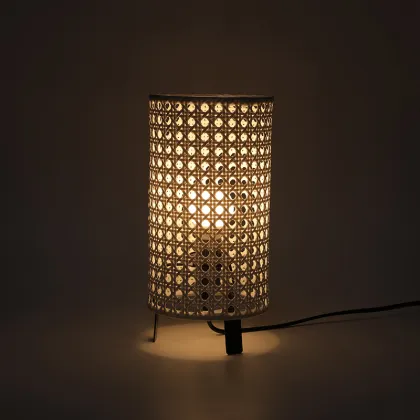 Iron Frame Rattan Decorative Ambient Light