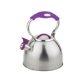 Whistle kettle with reminder function