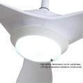 DC Motor Ball Style Ceiling Fan Light Multifunction Modern Dining Silent Luxury Ceiling Fan Light Supplier