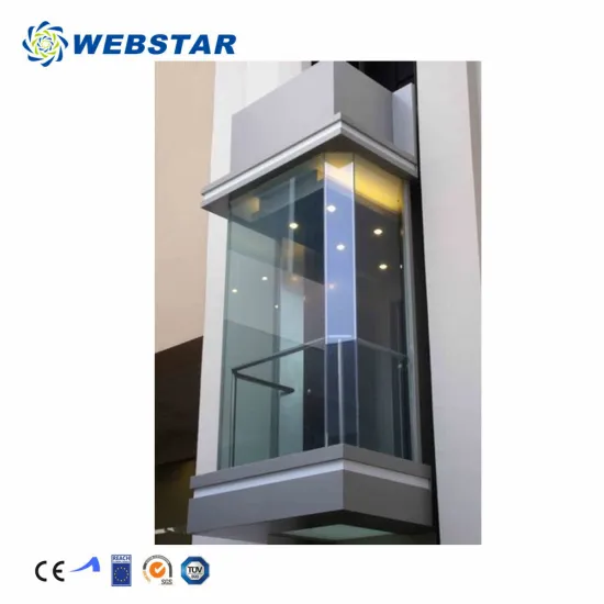 Affordable Panoramic Glass Commercial Passenger Lifts for Buildings