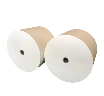 Wholesale Direct Poly Coated Paperboard Rolls by Manufacturers