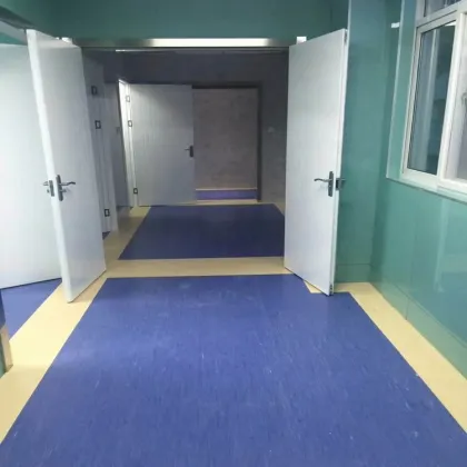 China Waterproof Hospital Grade Linoleum Floor Roll